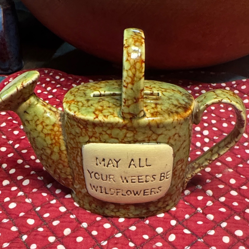 Ceramic Watering Can Coin Bank